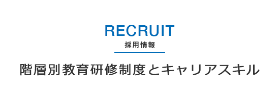 階層別教育研修制度とキャリアスキル