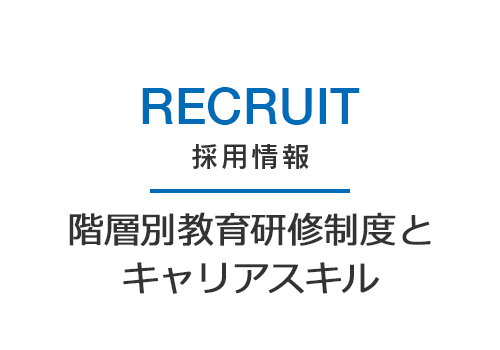 階層別教育研修制度とキャリアスキル